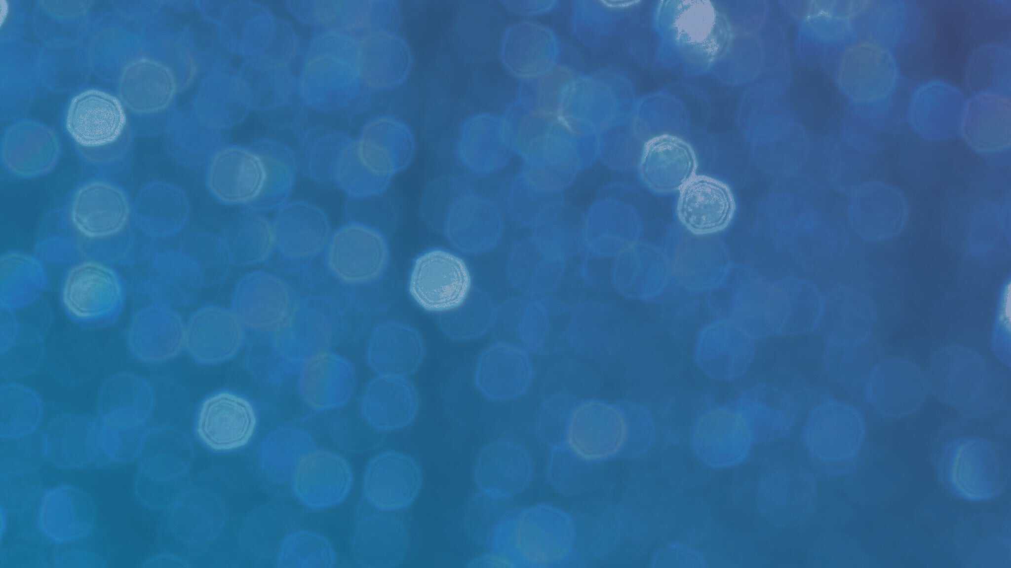 Blu & Exile at Paper Tiger – San Antonio, TX