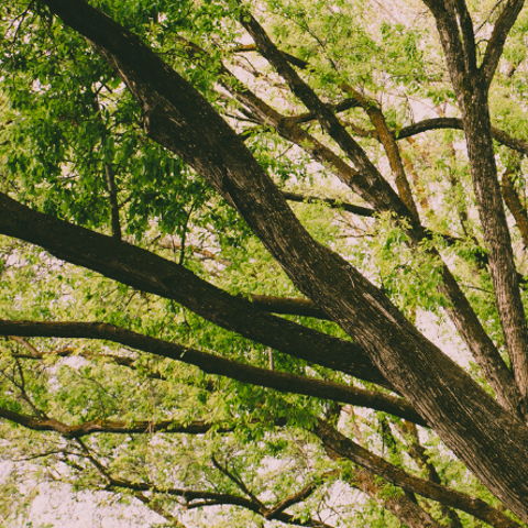 Where Stories Begin: Land Relationships in the Early Years at – London, Canada