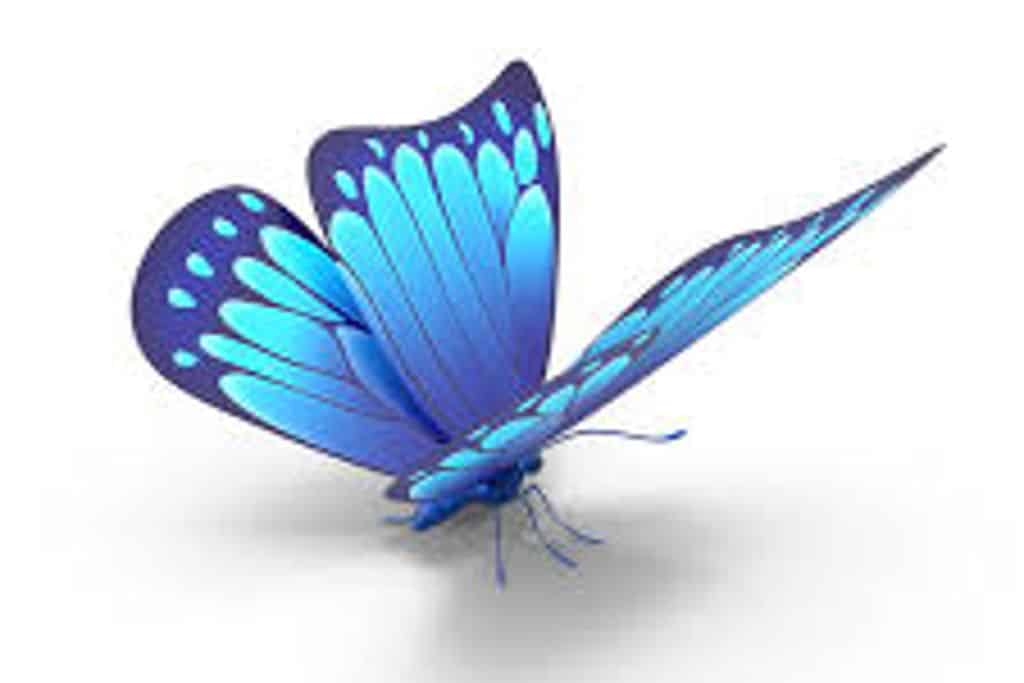 A Blue Butterfly Evening 2026 at – Dartmouth, Canada