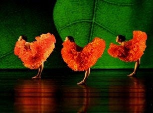 Momix at Winspear Opera House – Dallas, TX