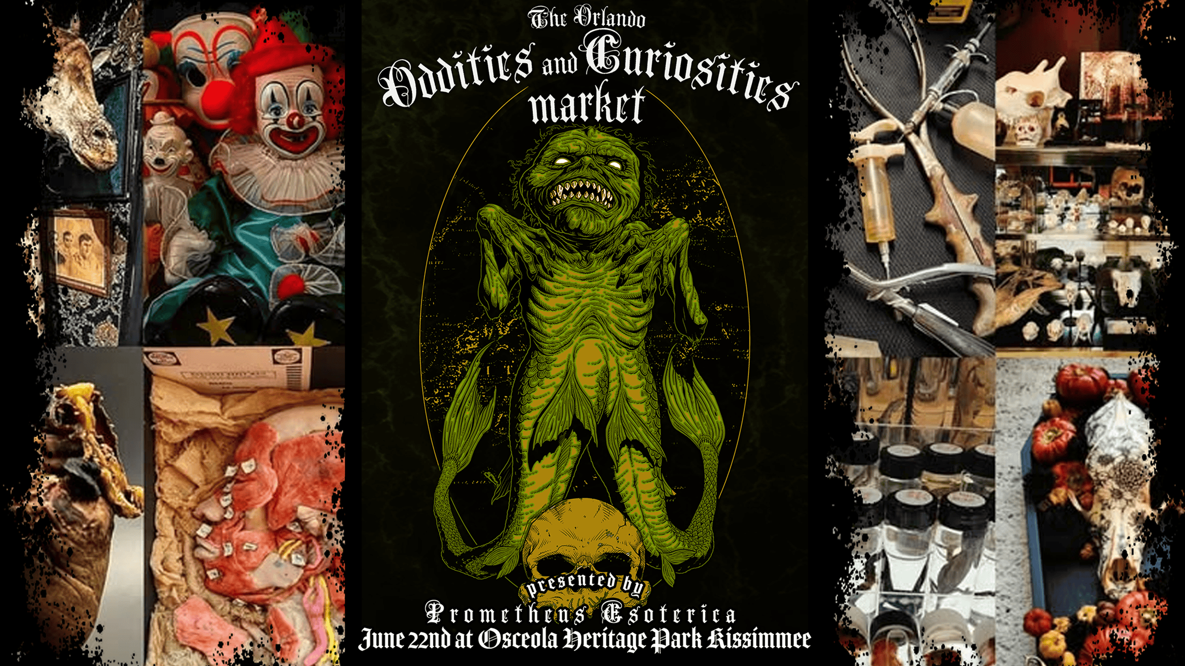 The Orlando Oddities and Curiosities Market at Events Center at Osceola Heritage Park – Kissimmee, FL