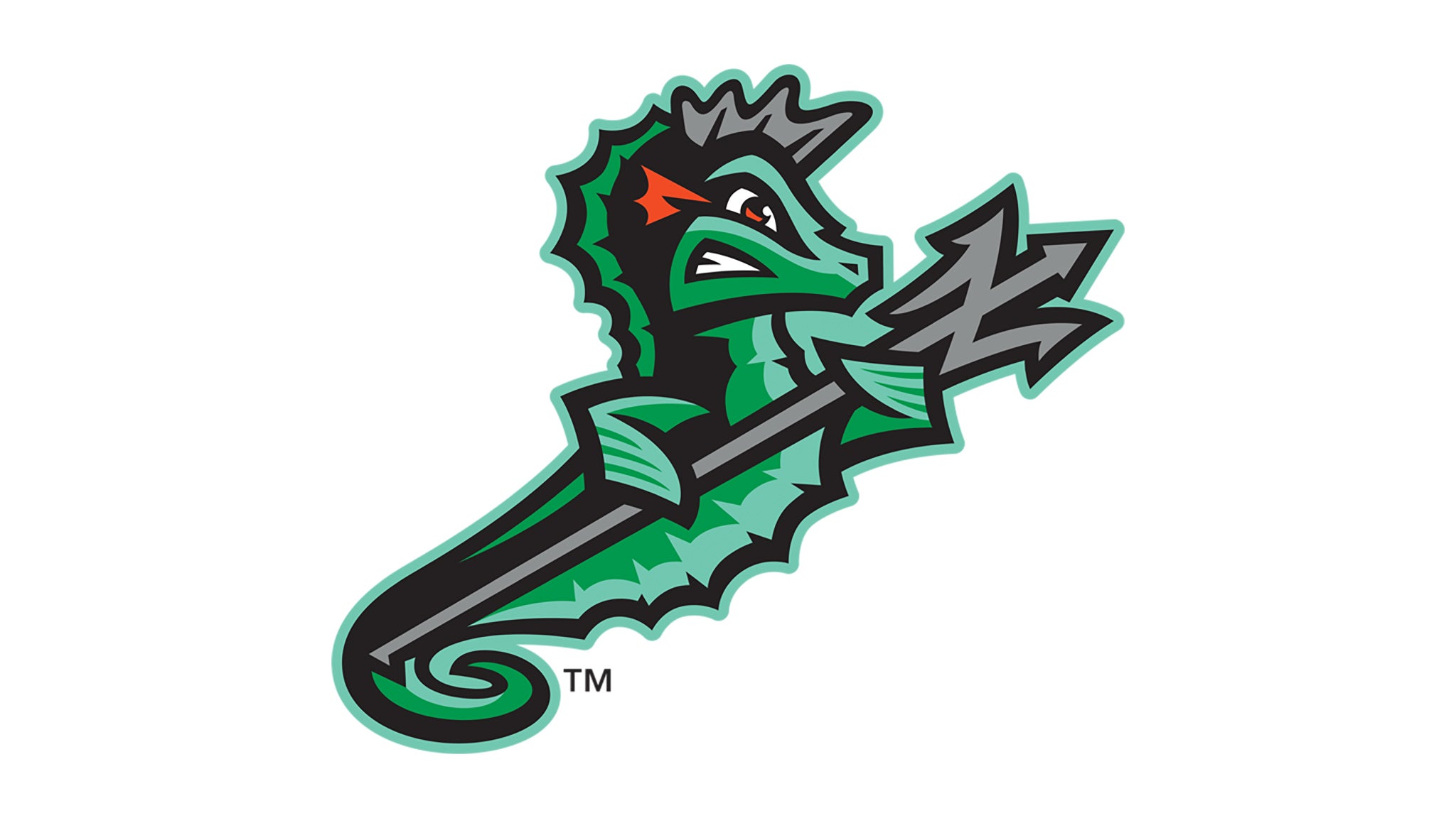 Norfolk Tides vs. Syracuse Mets at Harbor Park – Norfolk, VA