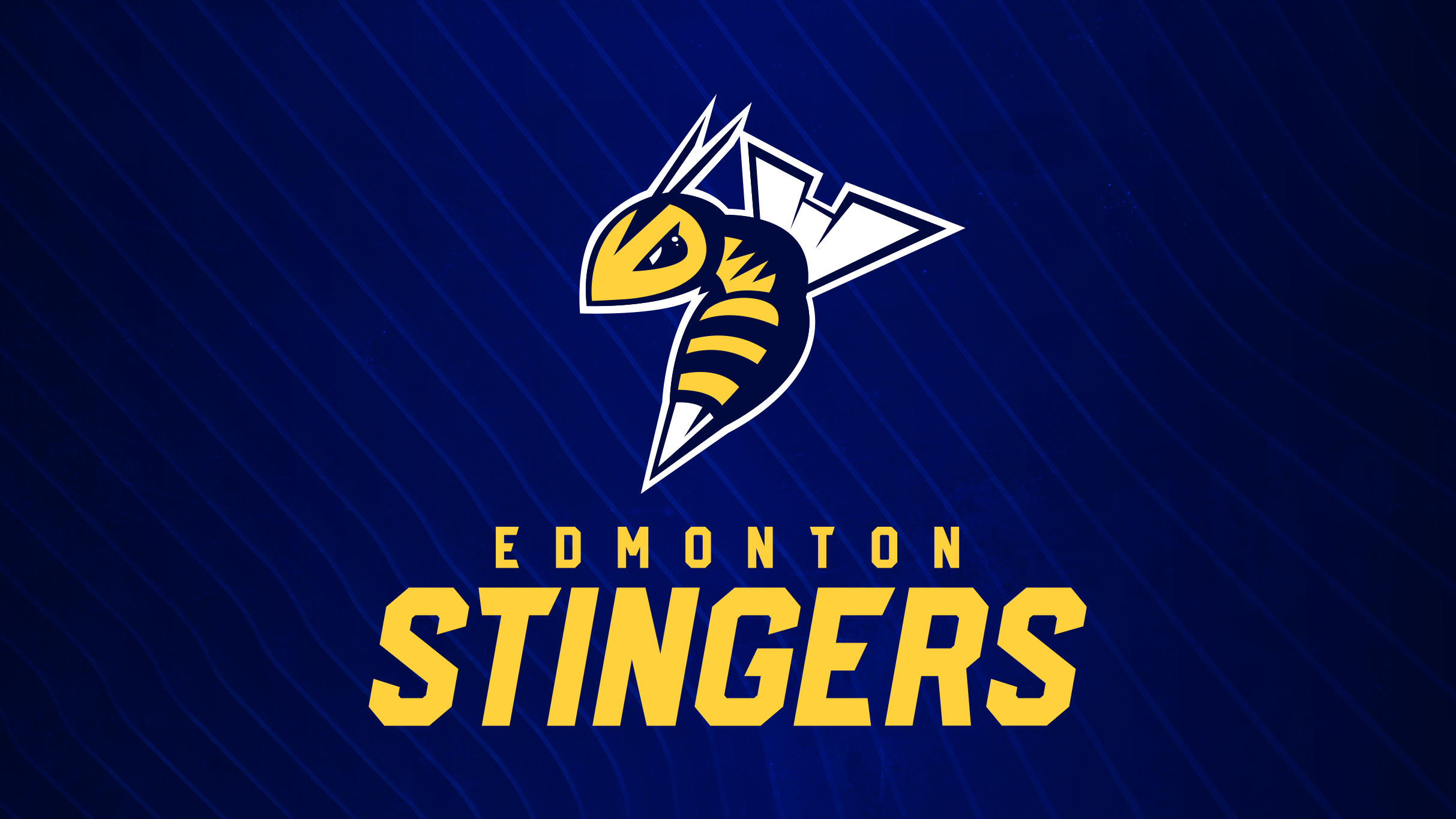 Edmonton Stingers vs. Vancouver Bandits at Edmonton EXPO Centre – Edmonton, Canada