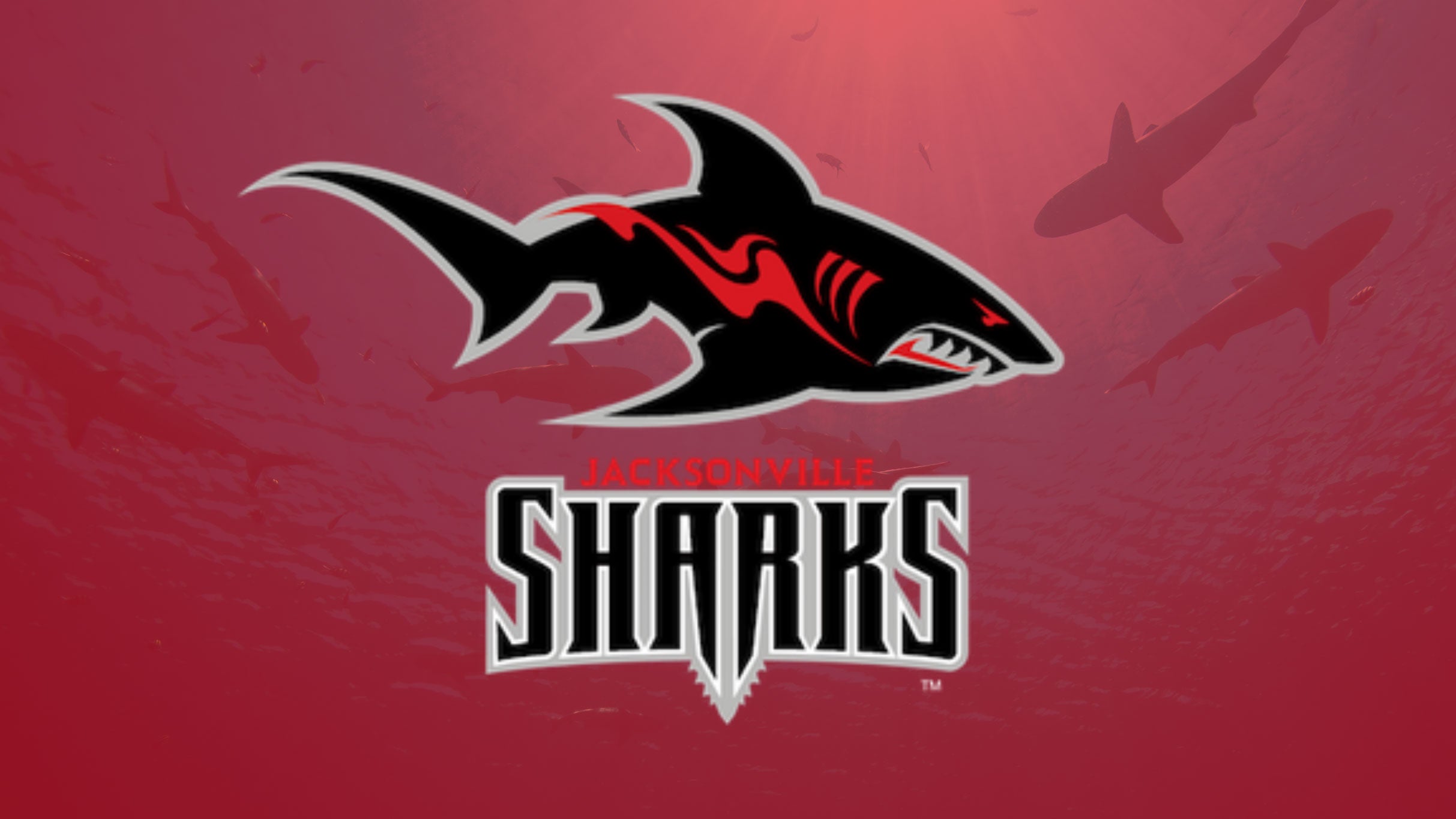 Jacksonville Sharks v Iowa Barnstormers at VyStar Veterans Memorial Arena – Jacksonville, FL