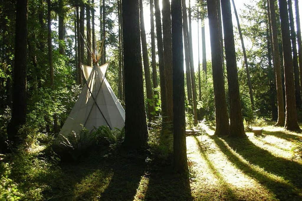 Back to Nature’s 13th annual Women’s yoga retreat. at – Springfield, OR