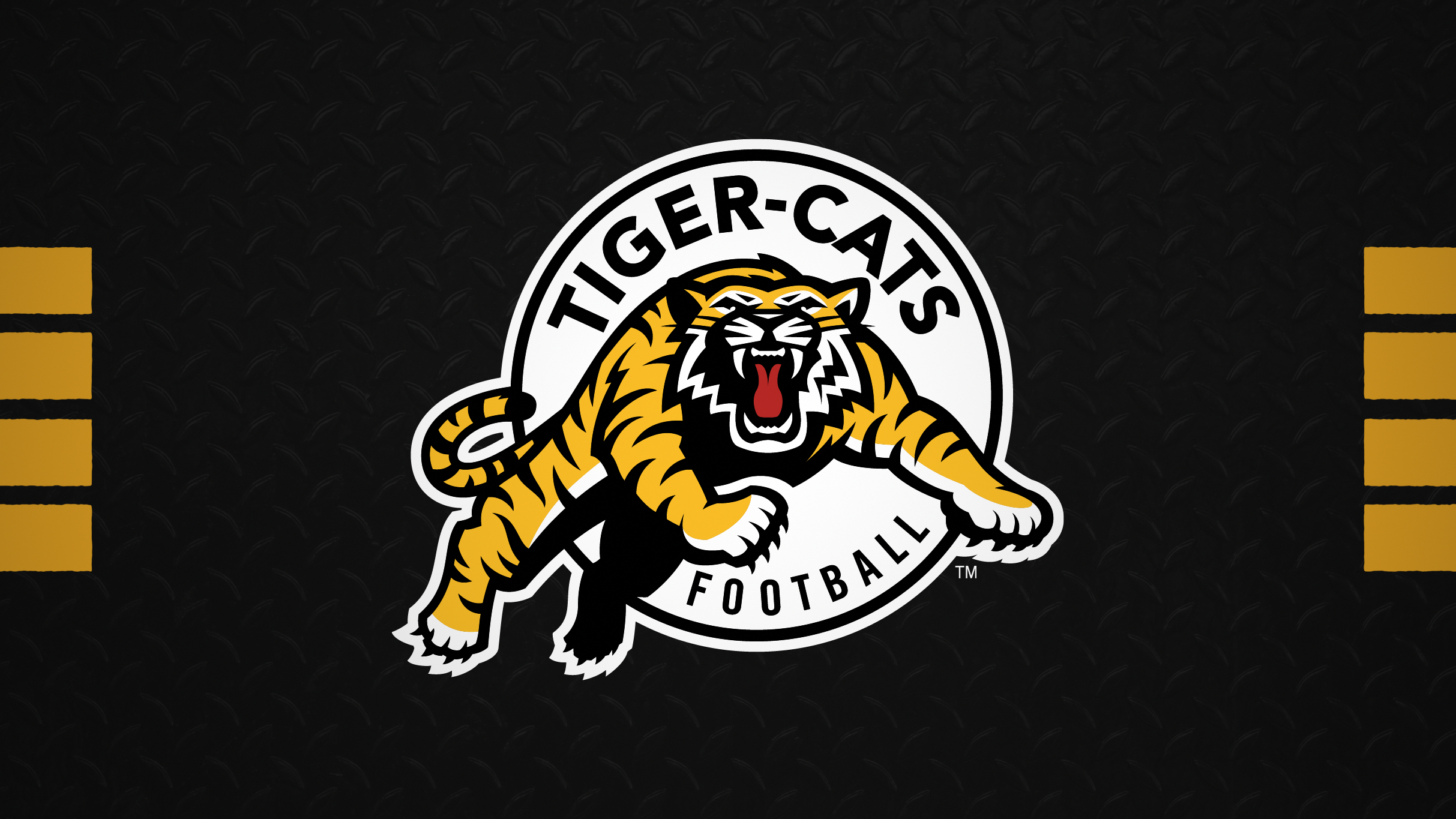 Hamilton Tiger-Cats vs. Calgary Stampeders at Hamilton Stadium – ON – Hamilton, Canada