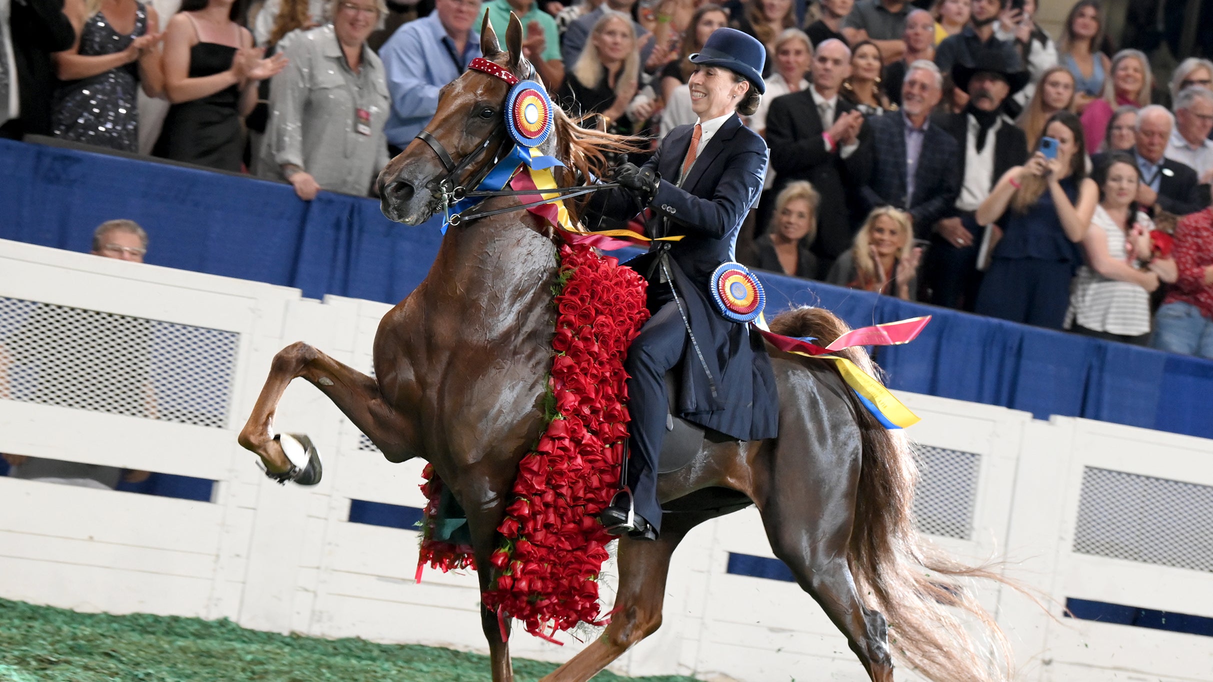 World’s Championship Horse Show at Freedom Hall – Louisville, KY