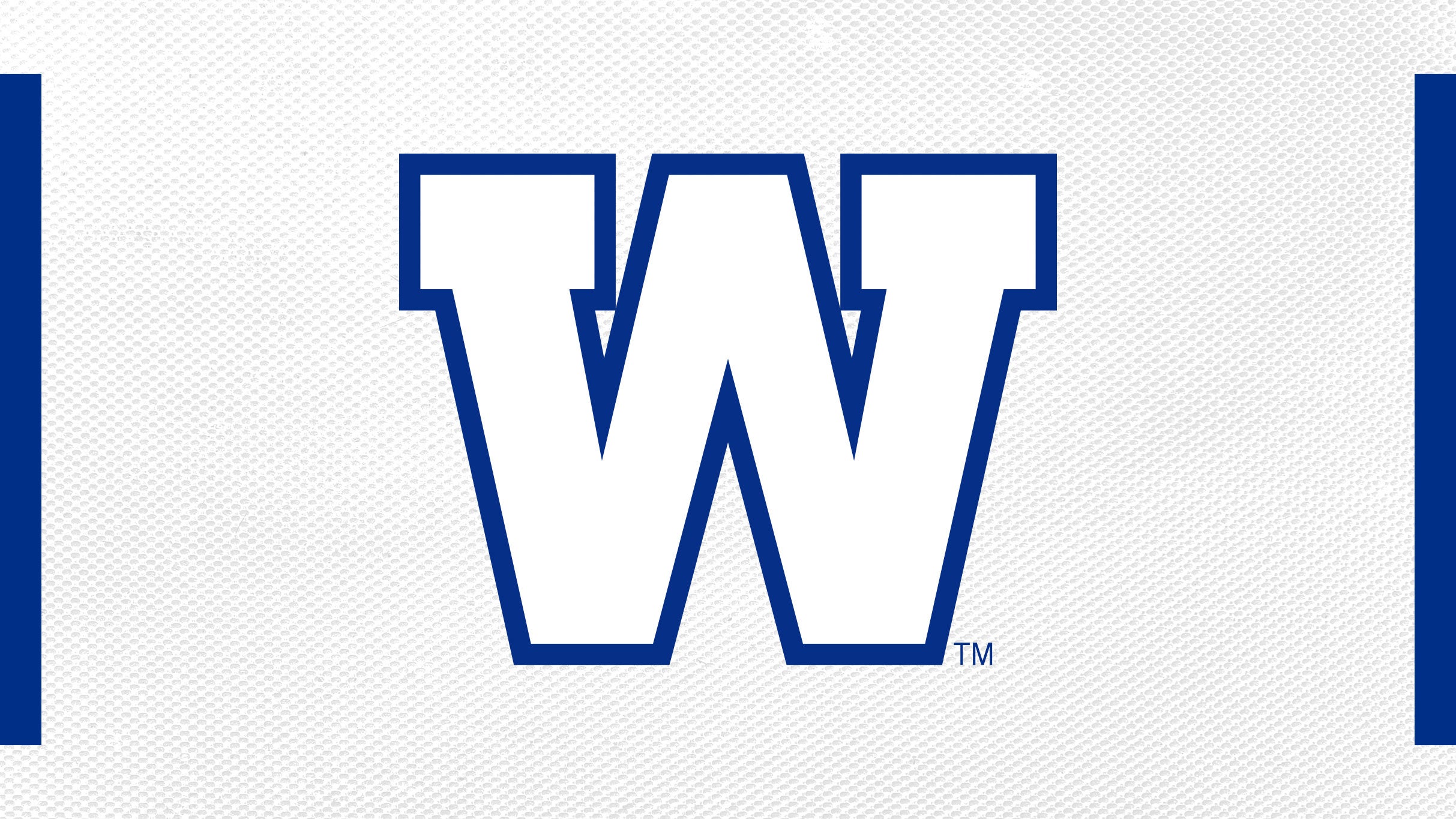 Winnipeg Blue Bombers vs. Saskatchewan Roughriders at Princess Auto Stadium – Winnipeg, Canada