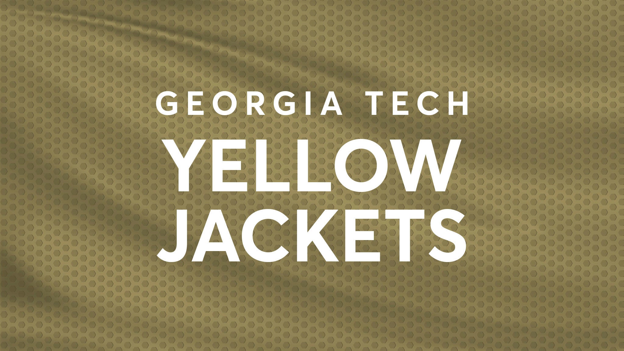 Georgia Tech Yellow Jackets vs. Mercer Bears at Bobby Dodd Stadium – Atlanta, GA