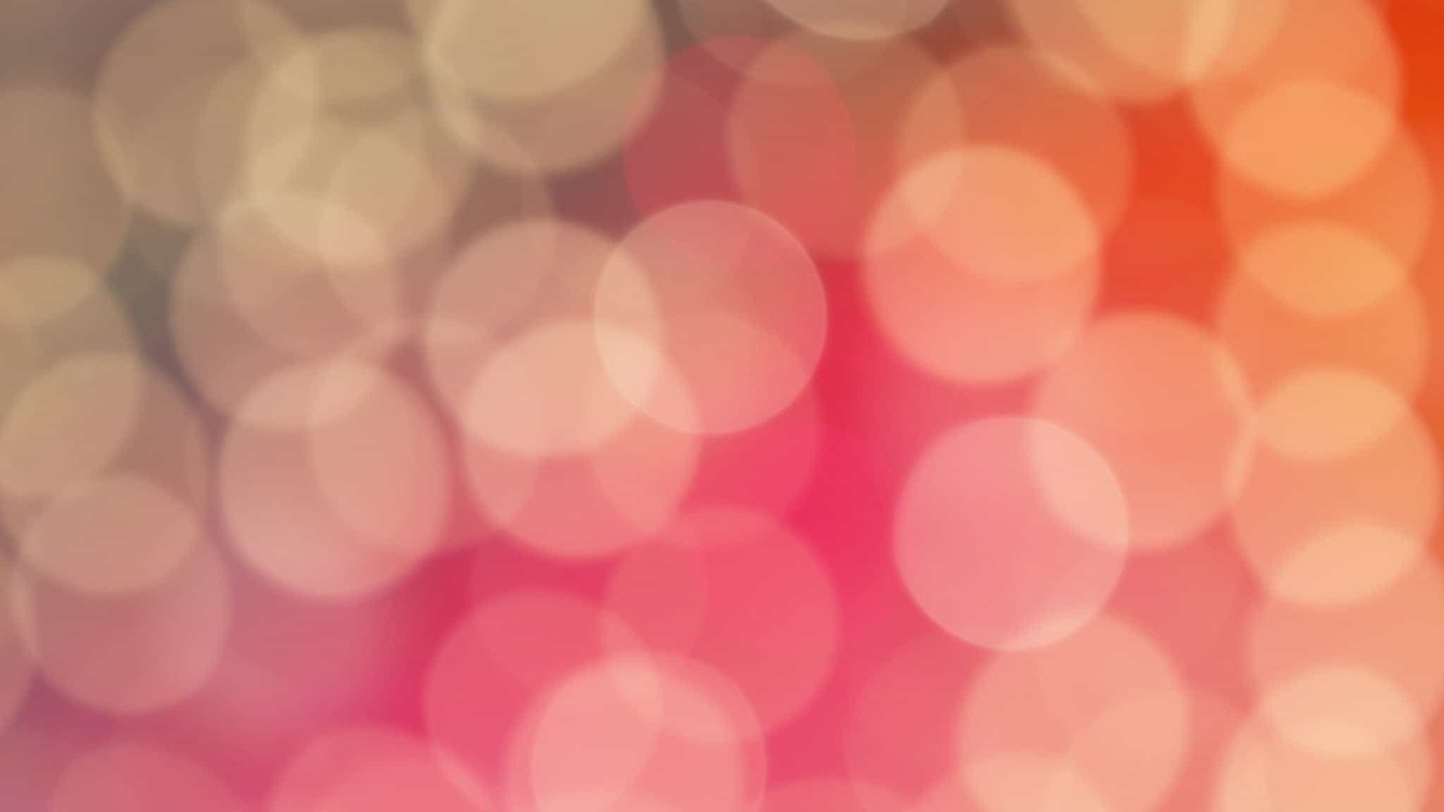 Suites: Weird Al Yankovic: Bigger & Weirder 2026 Tour at Dickies Arena – Fort Worth, TX