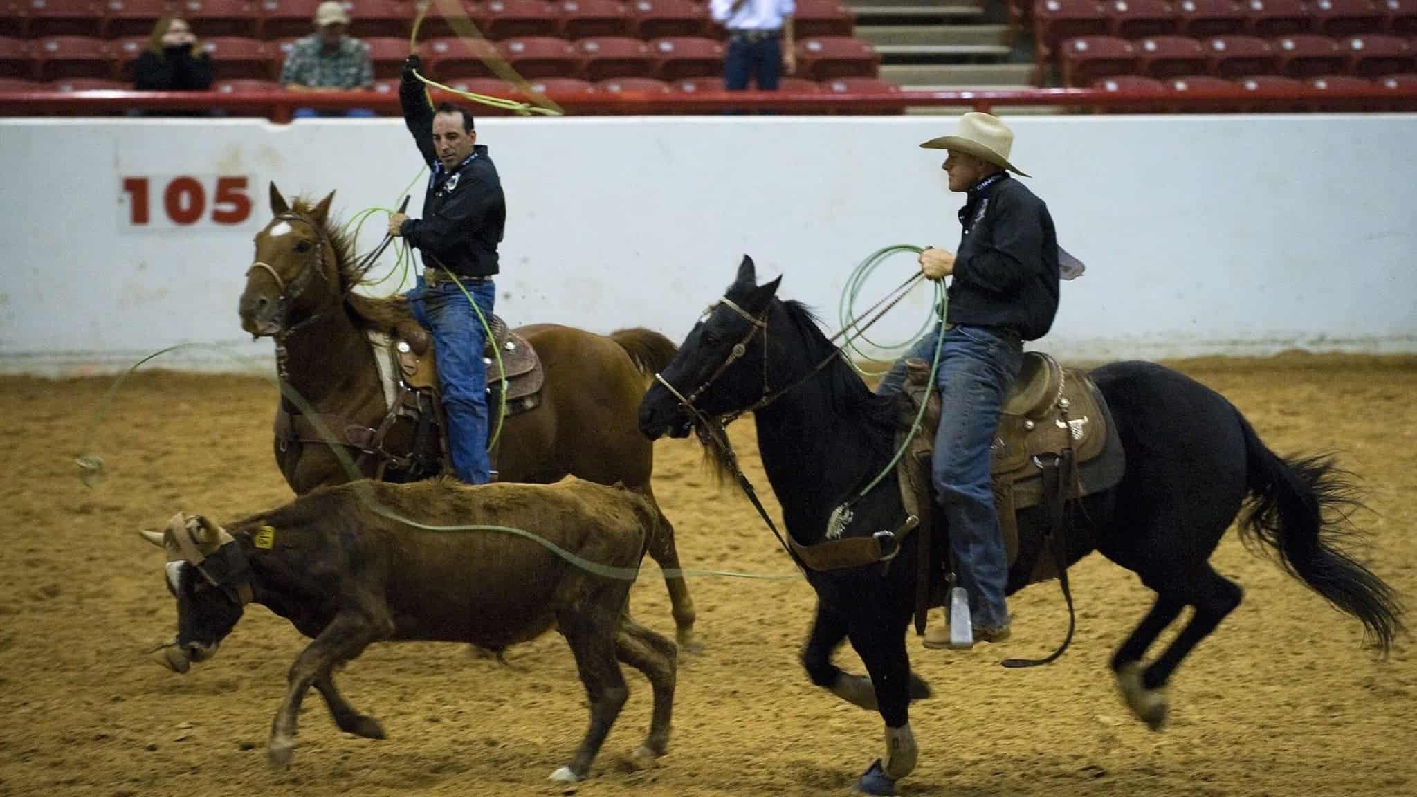 National Finals Rodeo at Thomas & Mack Center – Las Vegas, NV