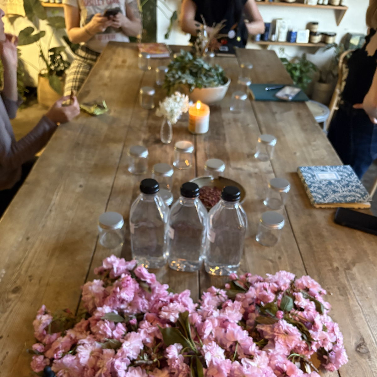 Spring Medicine Making Circle at – Brooklyn, OH
