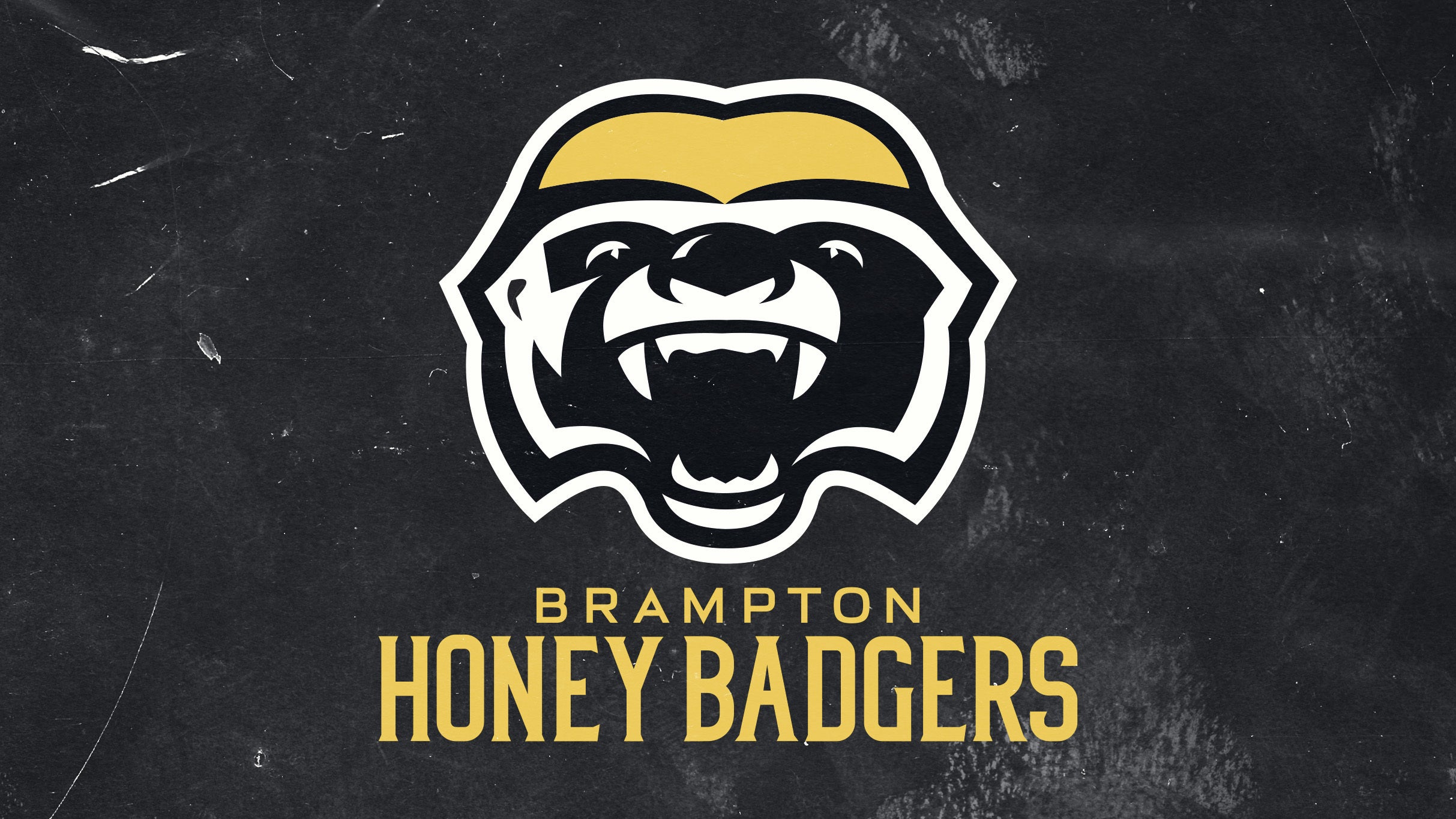 Brampton Honey Badgers vs. Scarborough Shooting Stars at CAA Centre – Brampton, Canada